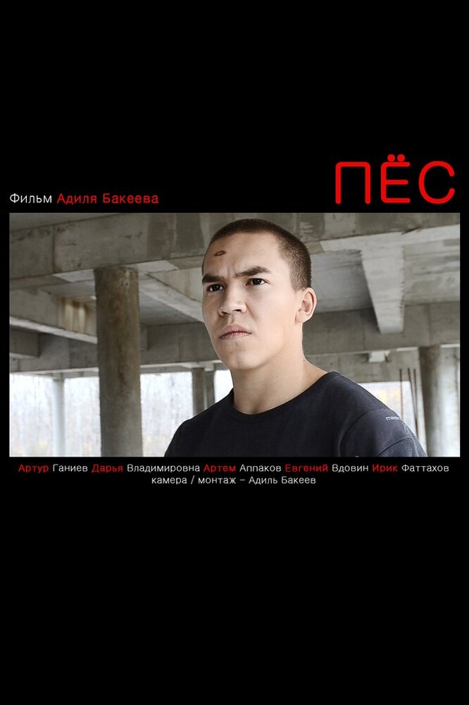 Пес (2012)