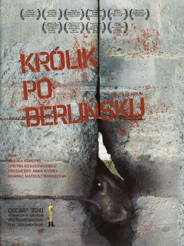 Кролик по-берлински (2009)